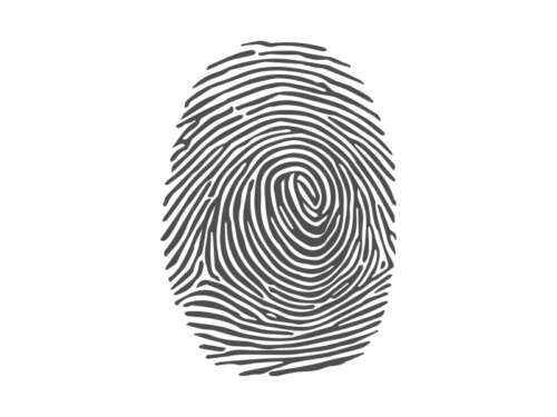 Black and White Fingerprint